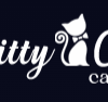 Kitty Cat Casino Review: 30 Free Spins No Deposit and Crash Game Thrills for US Players