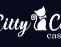 Kitty Cat Casino Review: 30 Free Spins No Deposit and Crash Game Thrills for US Players